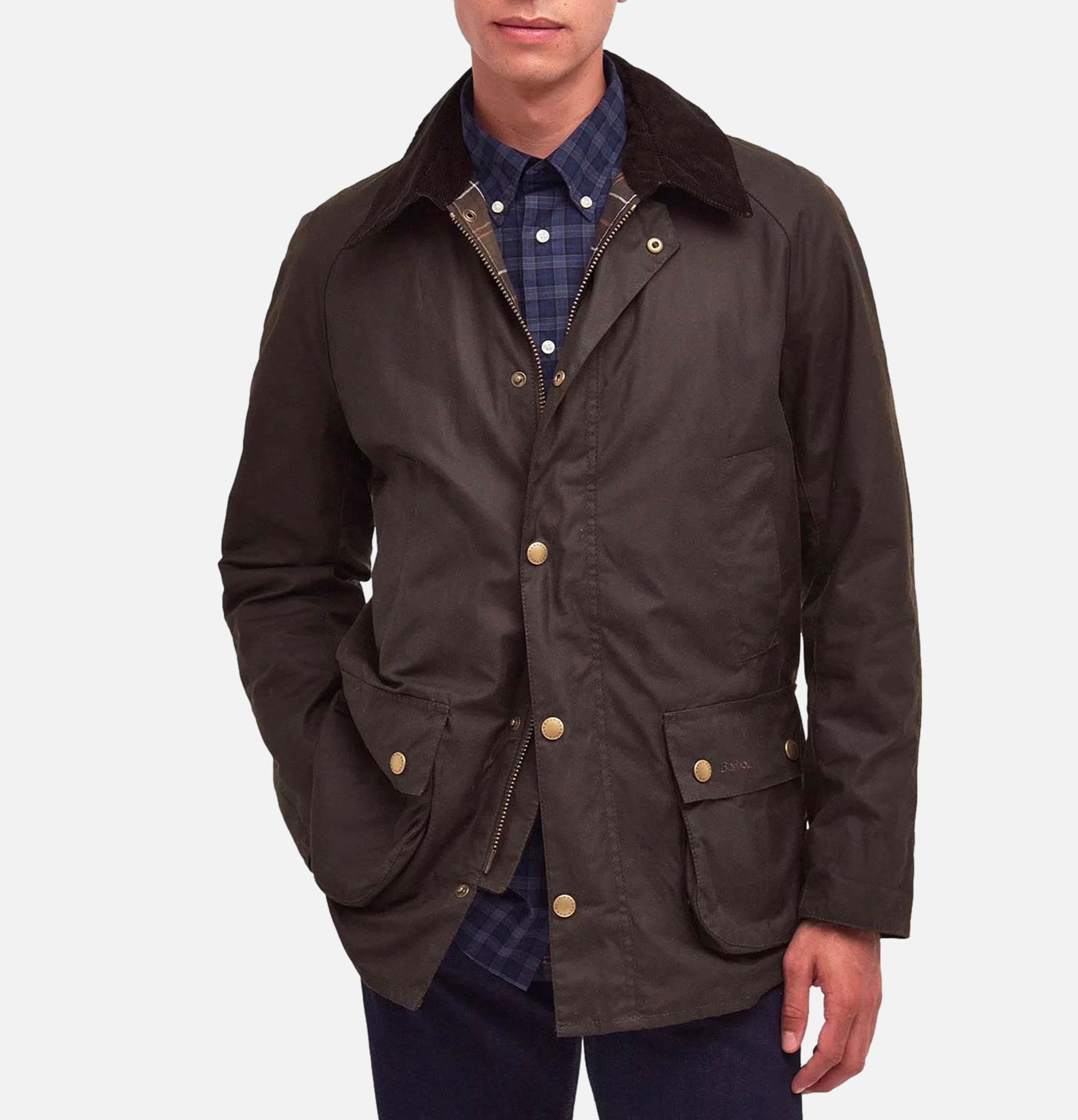 Ashby Jacket Olive