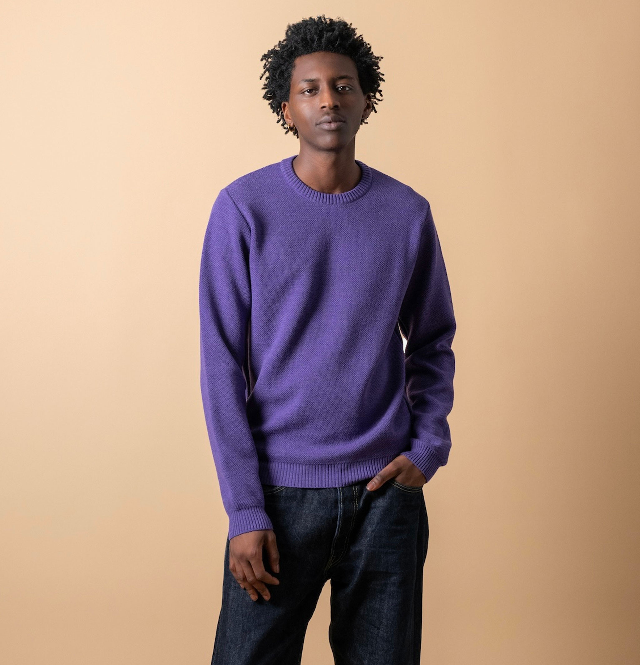 Nitto Knitwear Pull Youri Col Rond Violet